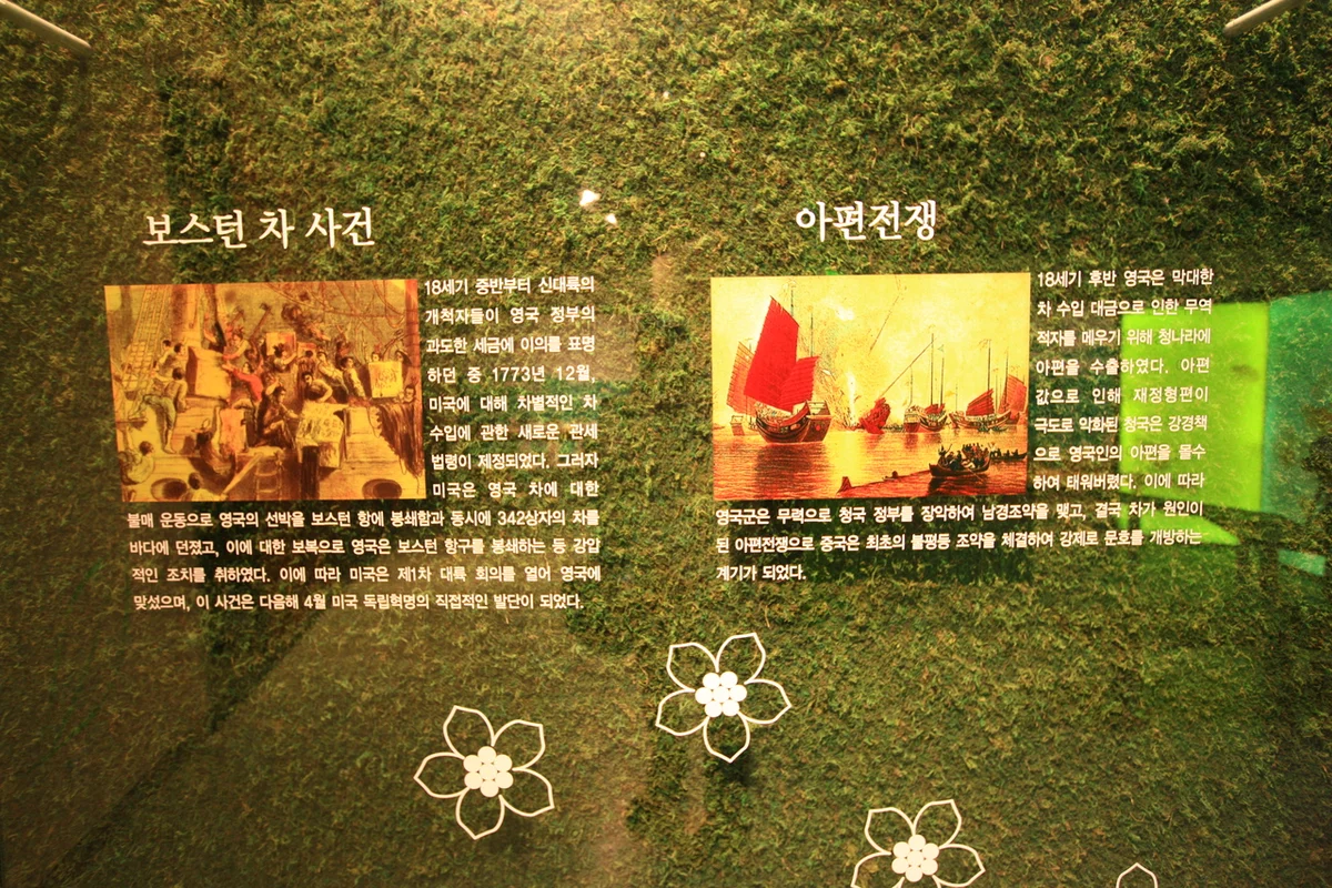 한국차박물관 - 보성 여행