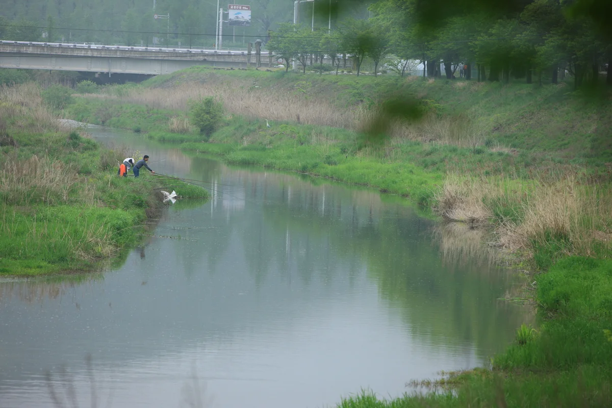 압량지 - 경산시 낚시 여행