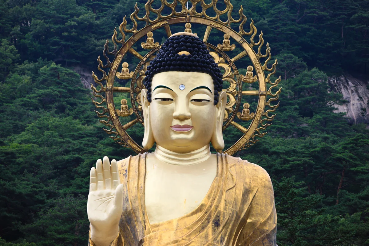 속리산연꽃단지 - 속리산 여행