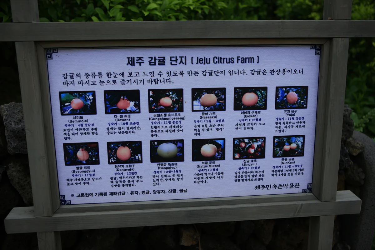 제주민속촌 - 제주여행 여행