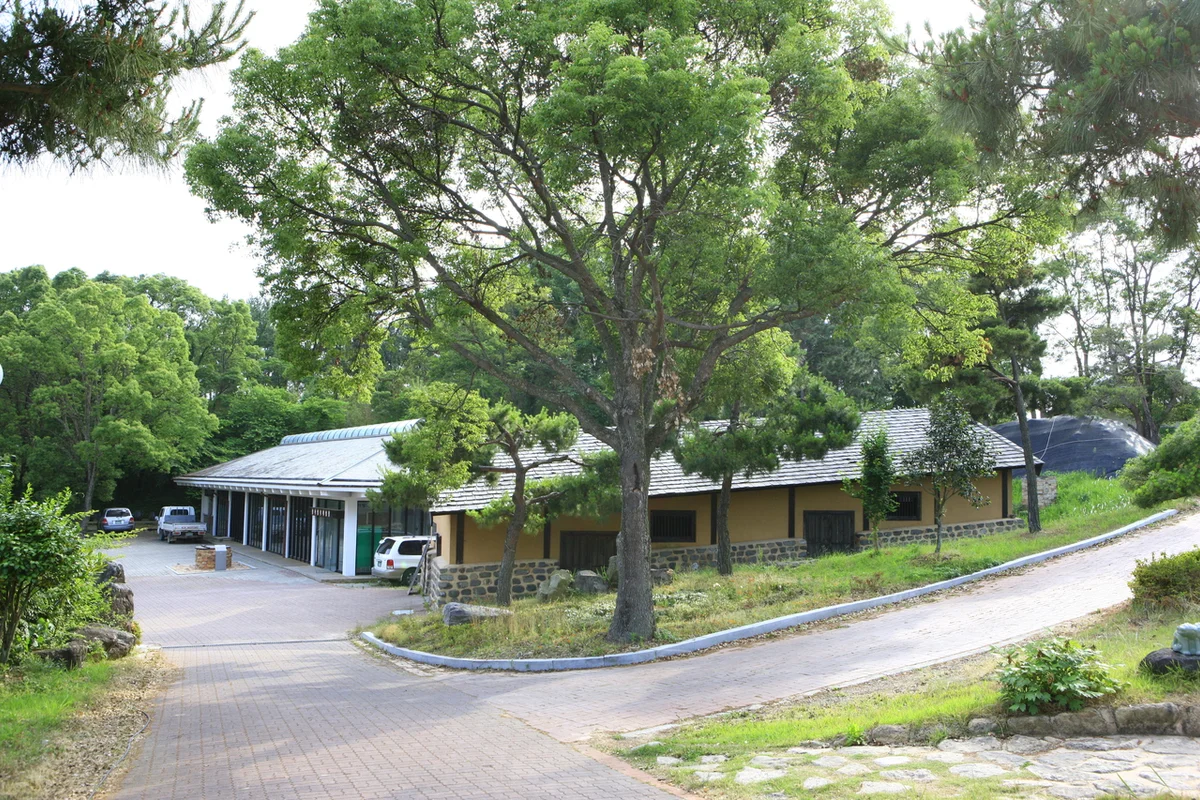 진도국민해양안전관 - 진도여행 여행