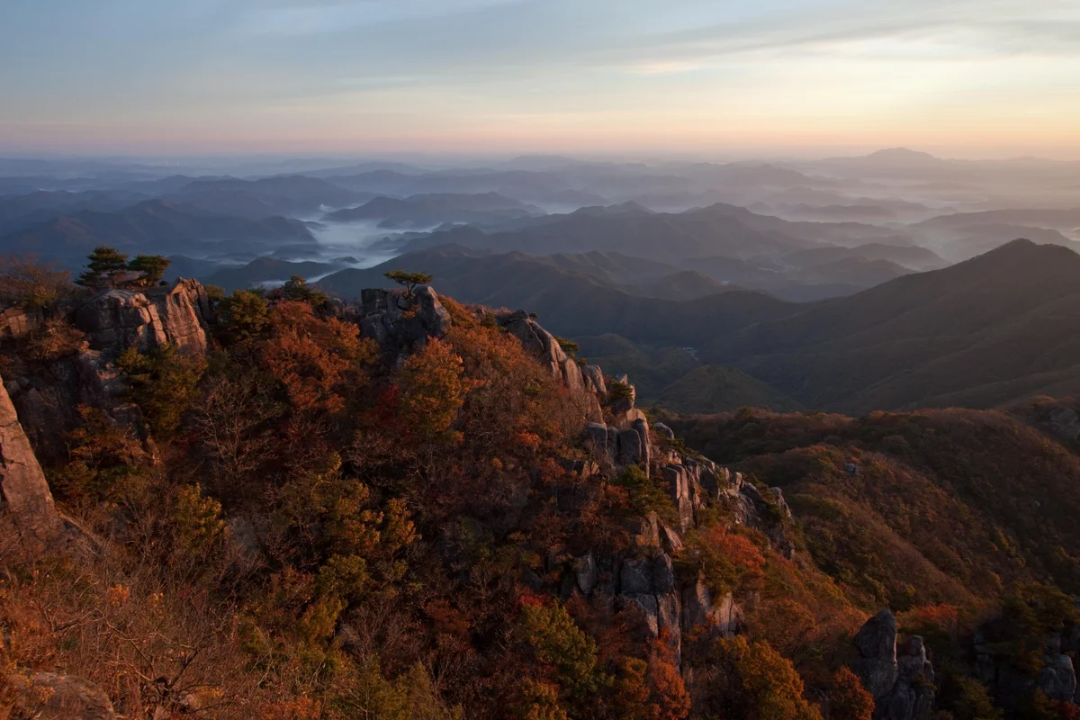 보라매공원 - 둔산여행 여행