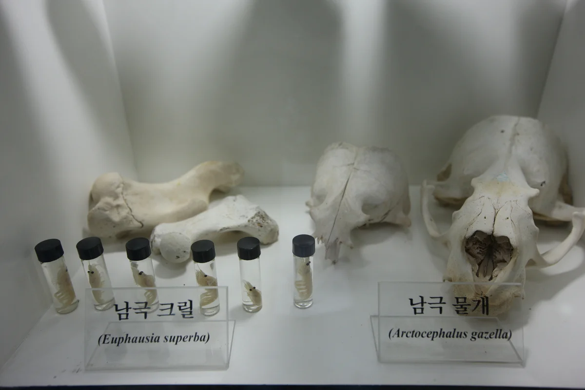 테이블에이 앤 우쥬 - 송도 여행