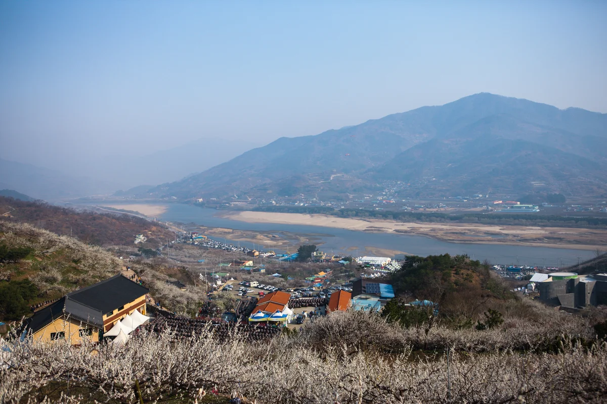 백운산치유의숲 - 광양 여행