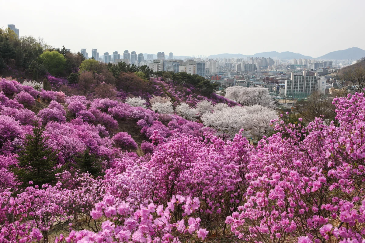 원미산 - 부천여행 여행