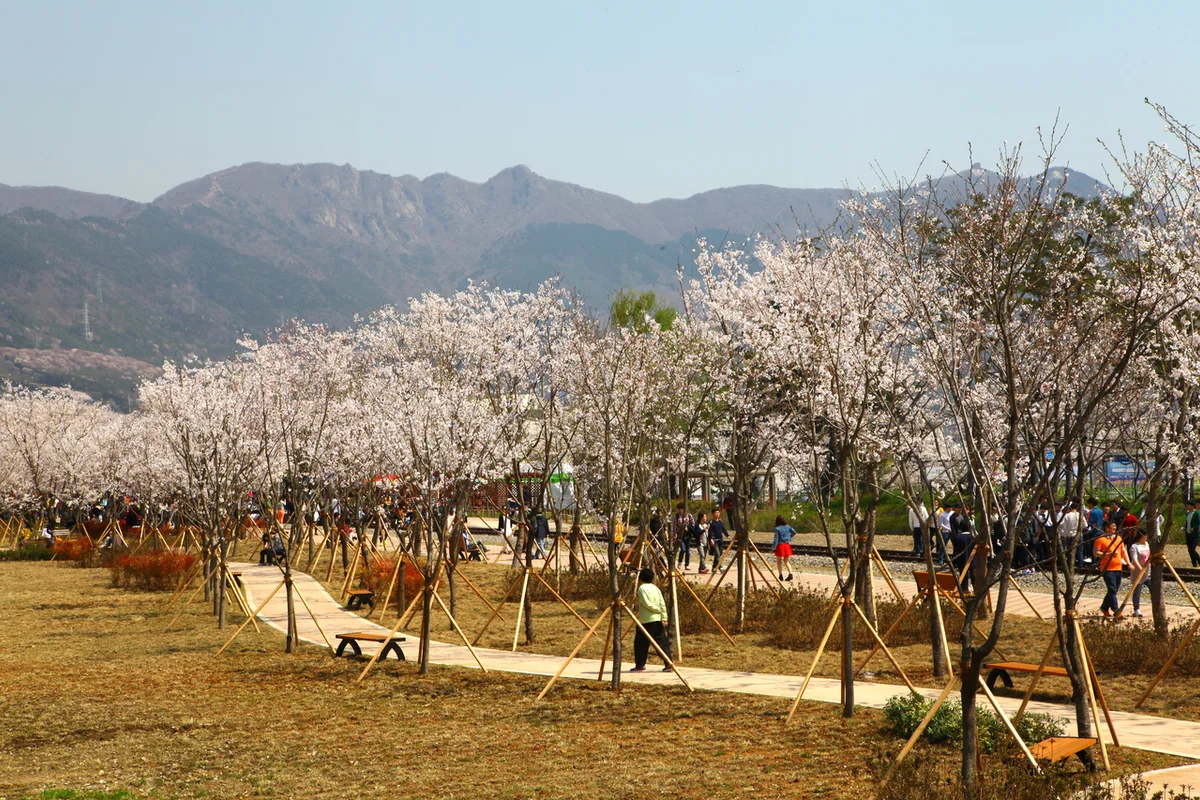 창원시 자전거길 (출처 : 한국관광공사)