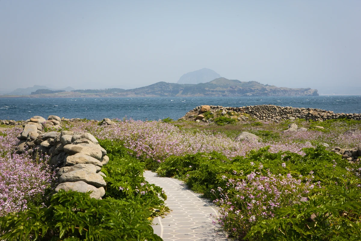 인천둘레길1코스(계양산) - 계양산 여행