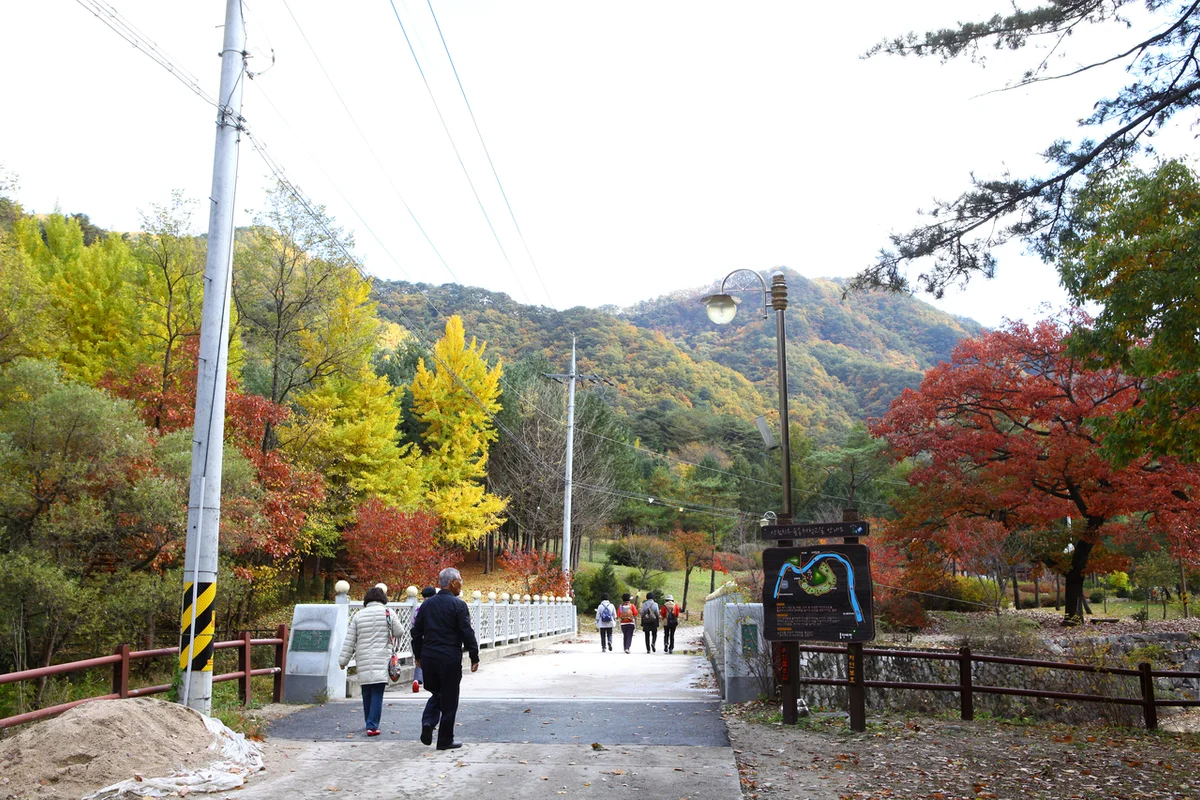 수타사 - 수성구 여행