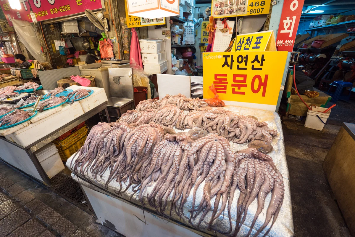부전시장 - 부산진구 여행