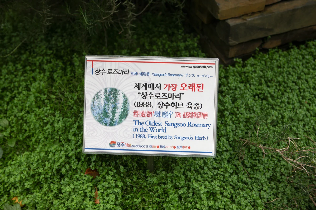 마포새빛문화숲 - 상수산책로 여행