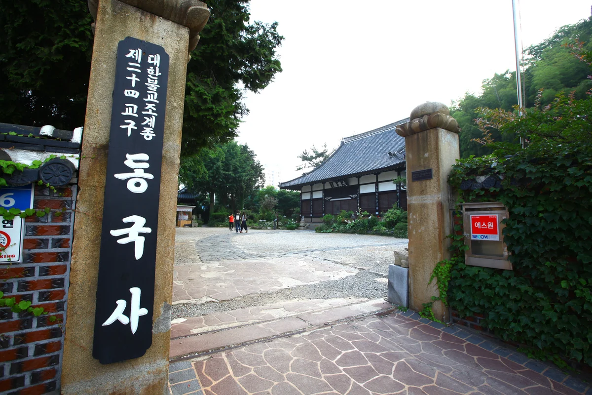 알파카월드 - 국내리조트 여행