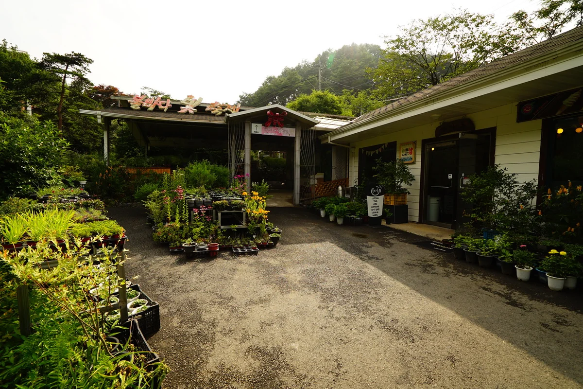 명월산해간 불야성 - 칭다오여행 여행