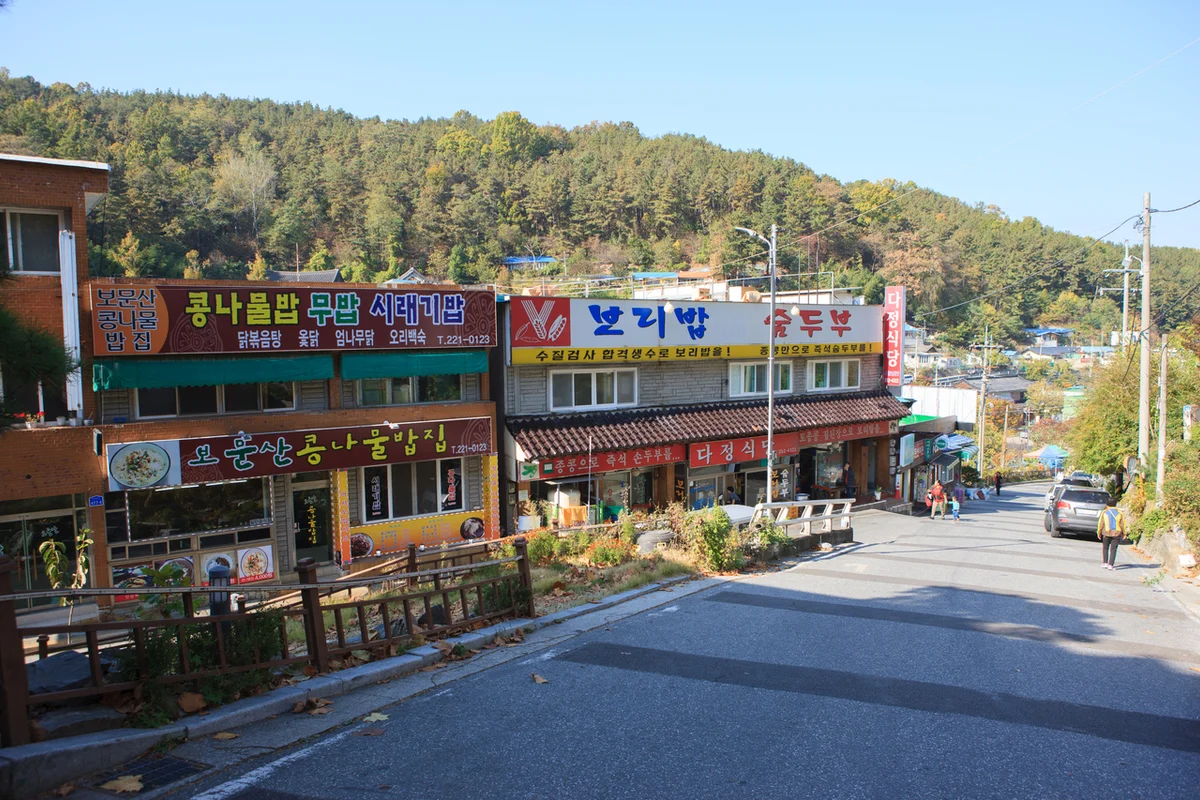 보문산 가는법: 대전의 봄을 만끽하는 여정 - 보문산 여행