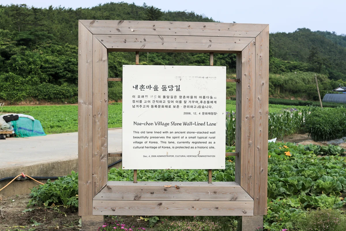 선도 수선화 축제장 - 신안 전시 여행