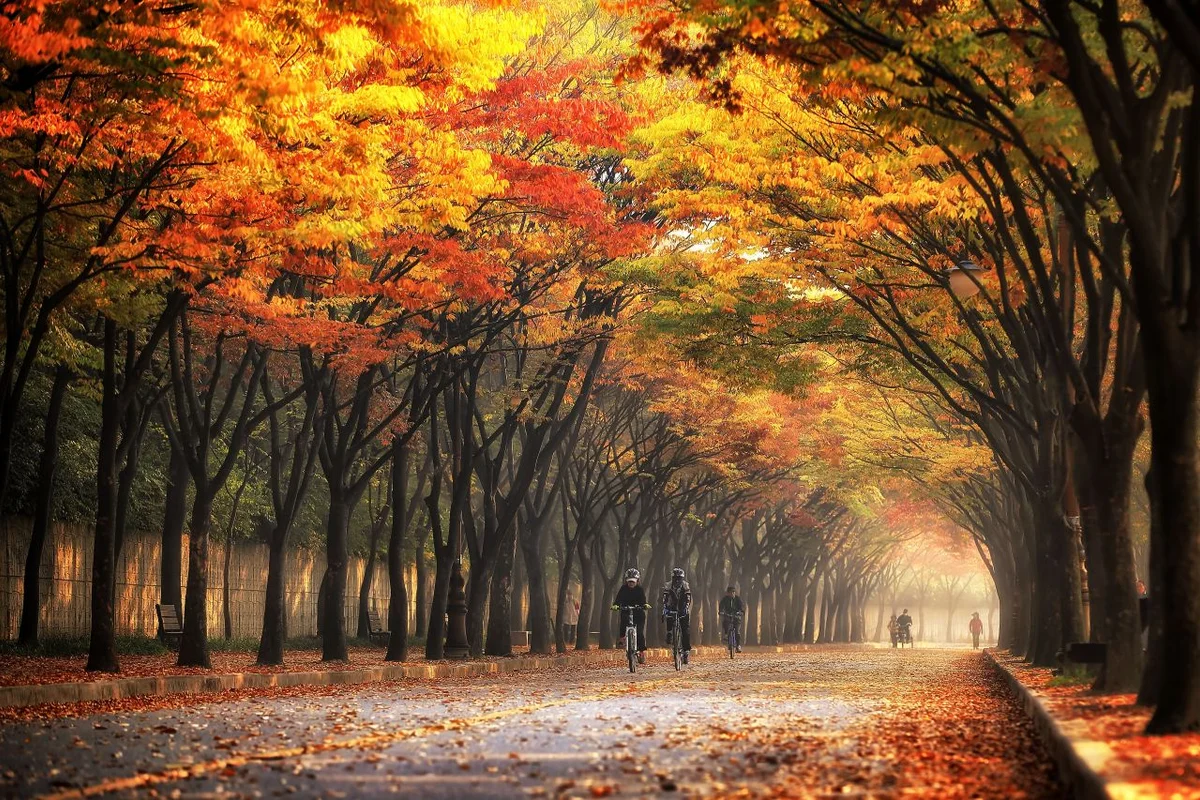 남동구 단체 여행 추천 명소: 인천대공원 - 남동구 여행