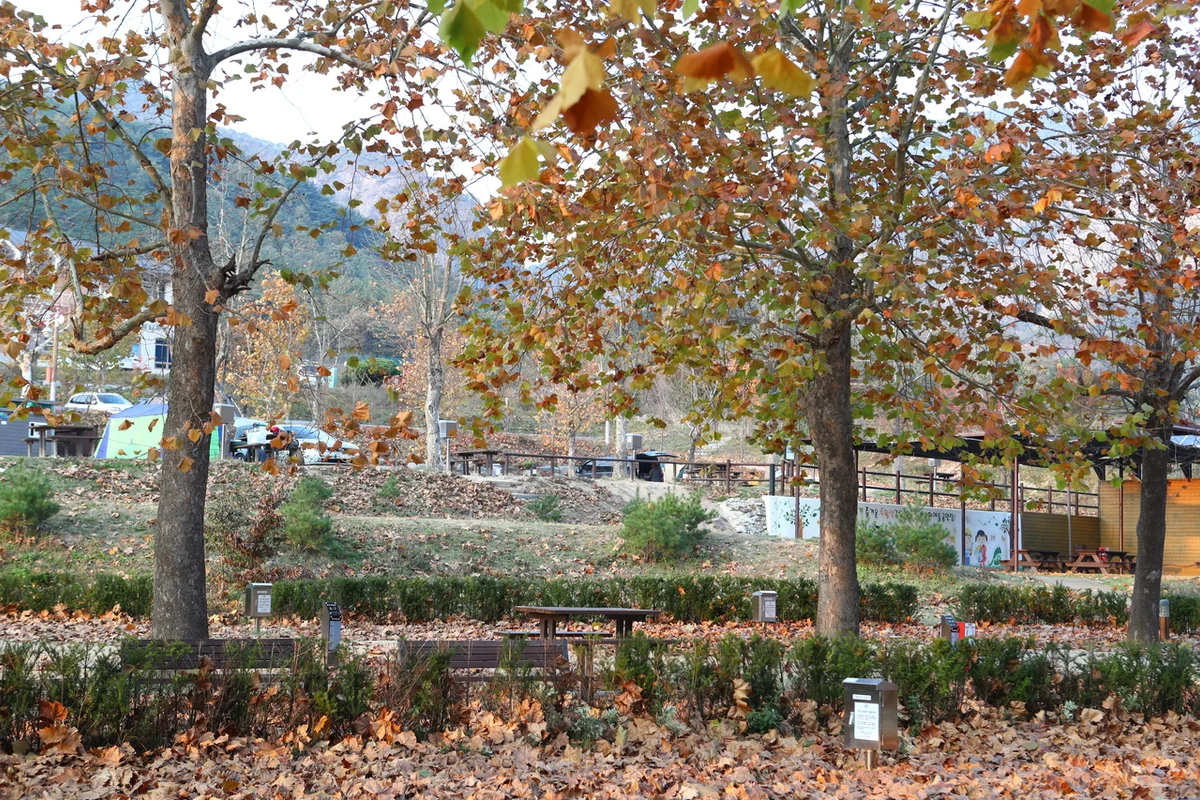 주왕산 - 주왕산 여행