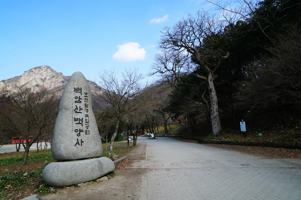 백련동편백농원 - 장성군여행 여행