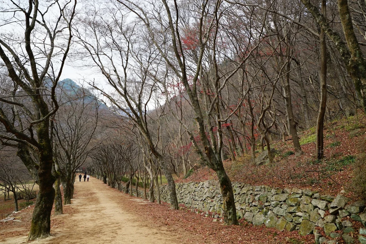 정읍이화곤충공방 - 정읍여행 여행