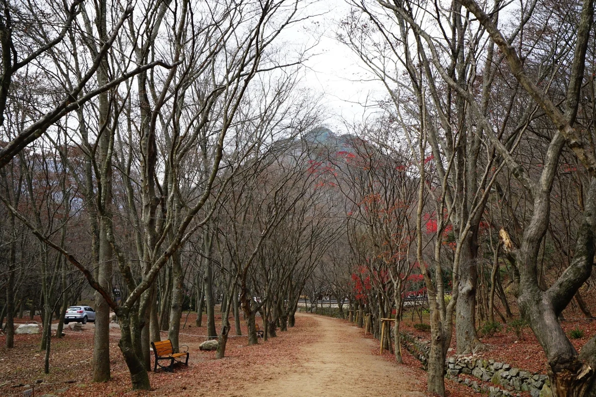 내장산국립공원원적암 - 내장산 여행