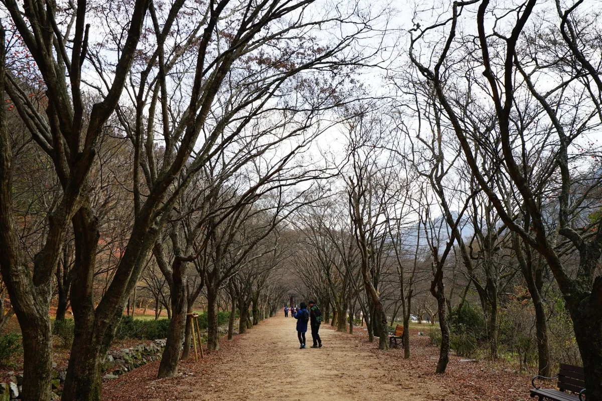 내장산 - 내장산 여행