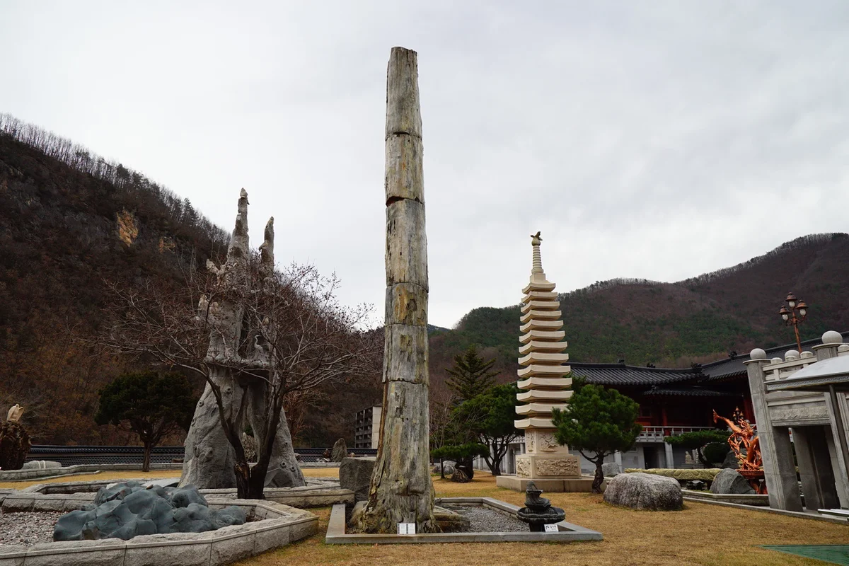 삼척해양레일바이크 궁촌정거장 - 삼척여행 여행