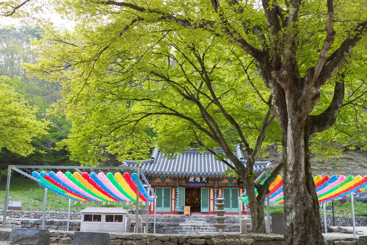 순창발효테마파크다년생식물원 (순창군 식물원) - 순창여행 여행