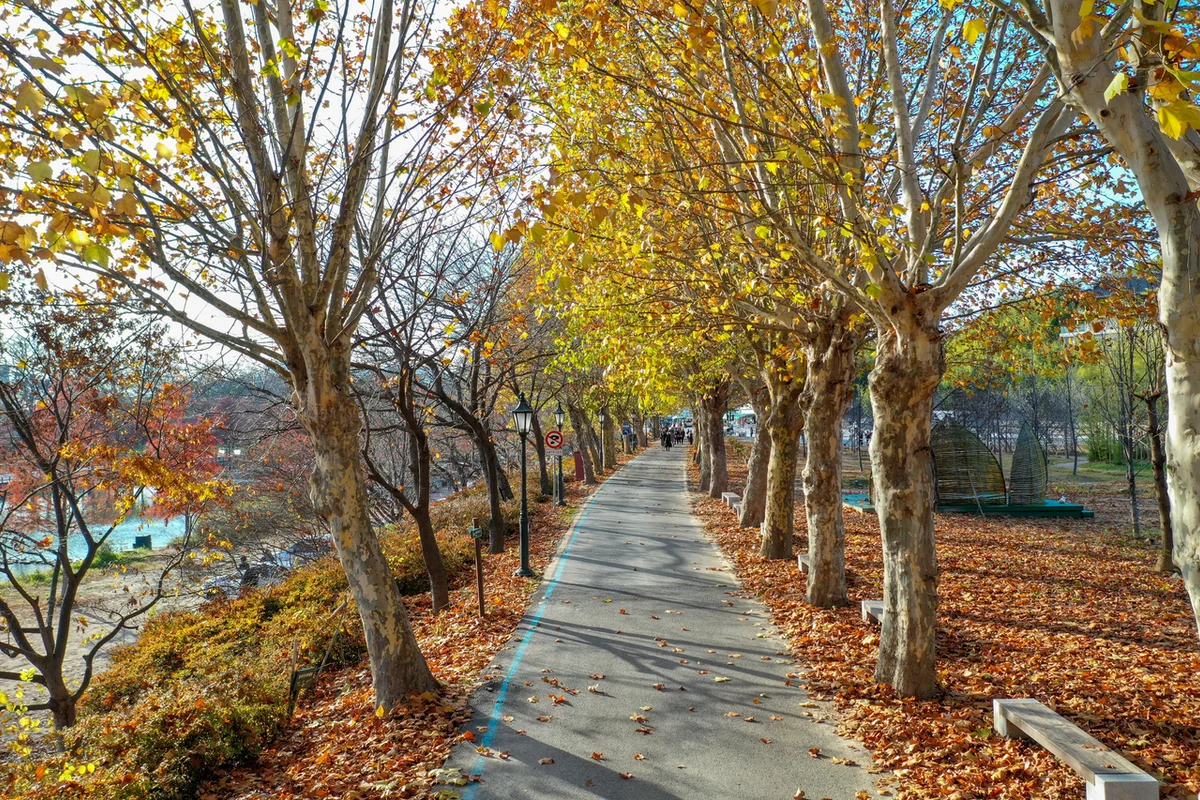 추월산 일대 - 담양여행 여행