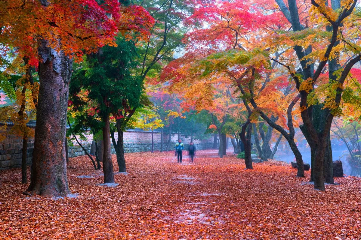선운사 여행코스 추천 (출처 : 한국관광공사)