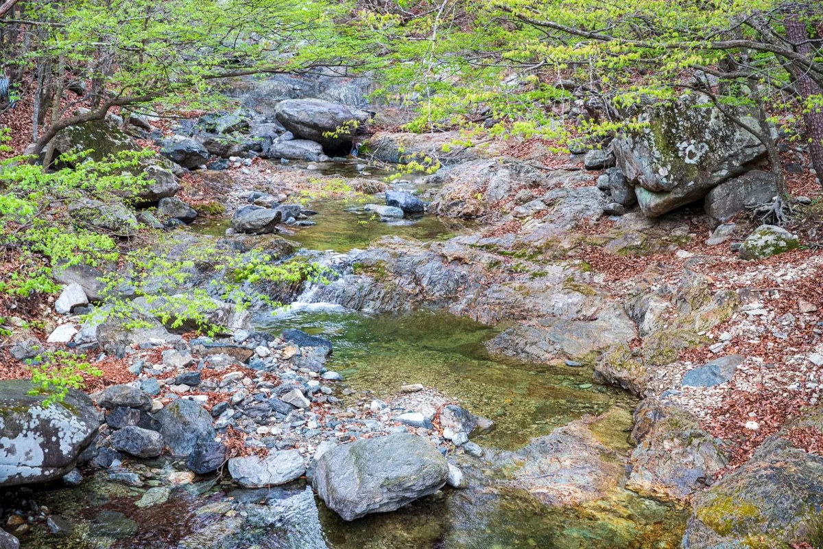 와우쥬 양산점 - 양산여행 여행