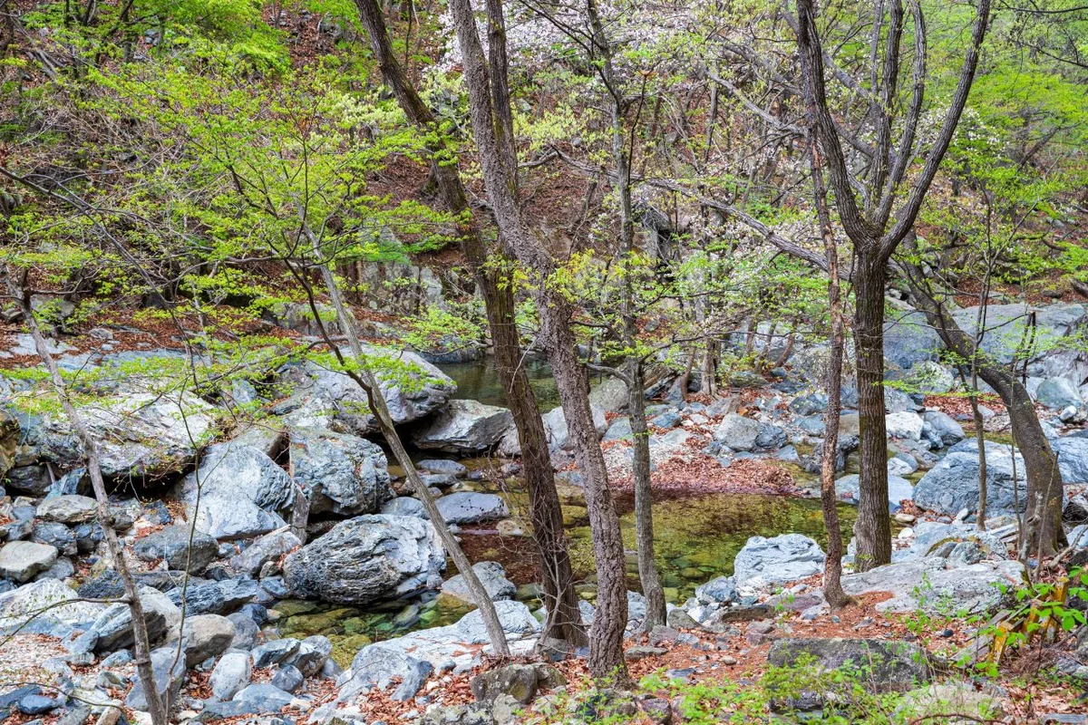 양산시 반려동물지원센터 - 양산여행 여행