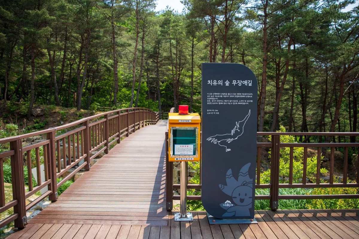 블루스퀘어 - 한남동여행 여행