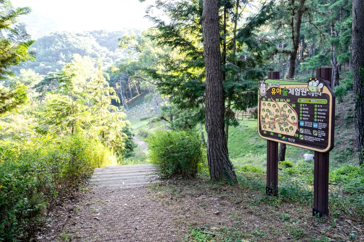 한밭수목원 유아 동반 (출처 : 한국관광공사)