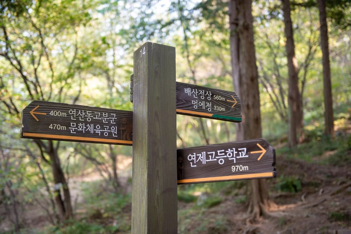 연산동고분군 - 연제당일치기 여행