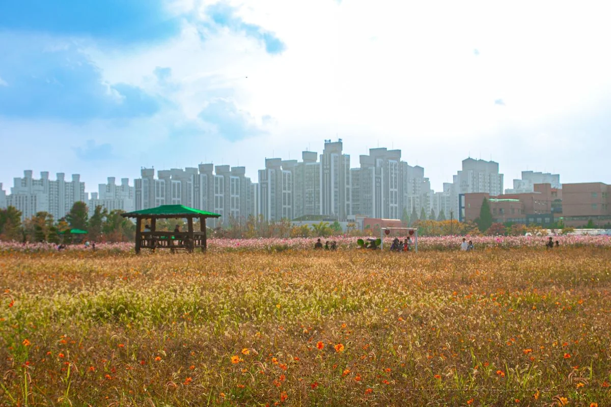 인천둘레길1코스(계양산) - 계양구산책 여행