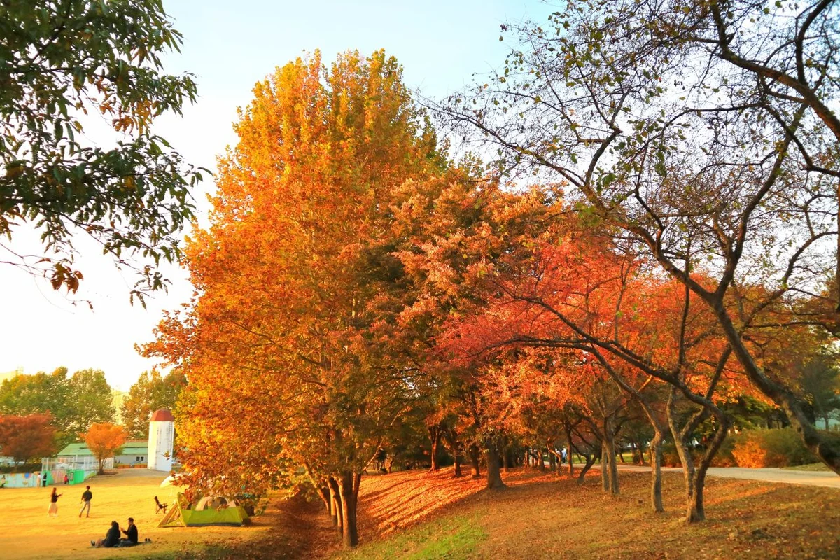 서울대학교 농업생명과학대학 수원수목원 - 탑동 여행