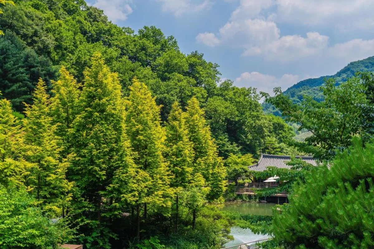 화담숲 - 광주화담숲 여행