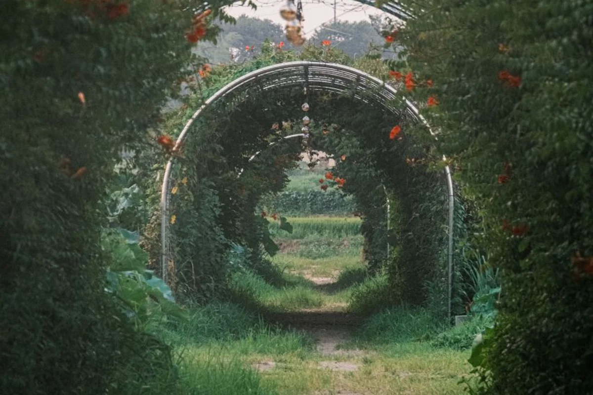 계림공원 - 당진여행 여행