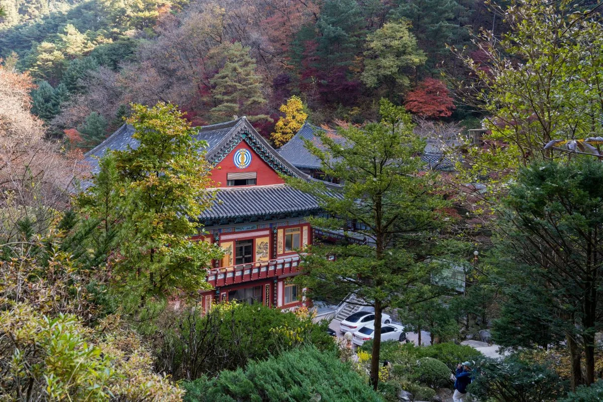 다누리아쿠아리움 - 단양여행 여행