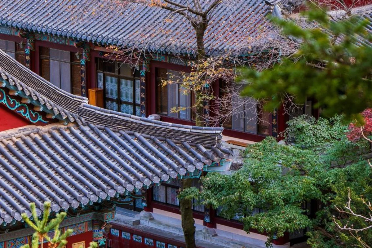 수양개빛터널 - 단양여행 여행