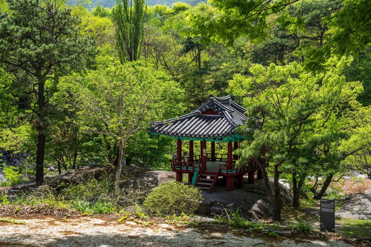 군자정 - 당진여행 여행