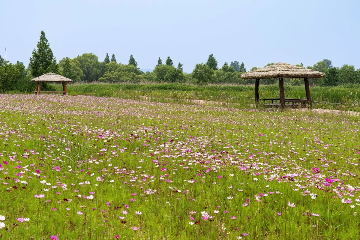 왕궁 포레스트 - 익산여행 여행