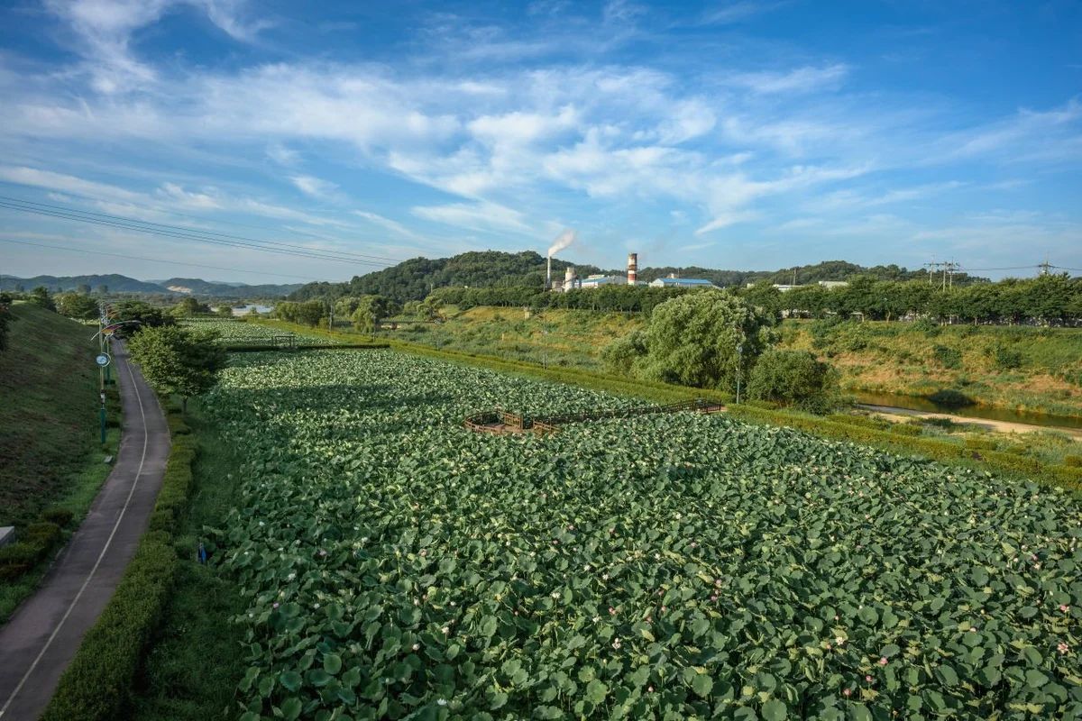 한글놀이터 세종관 - 조치원 여행