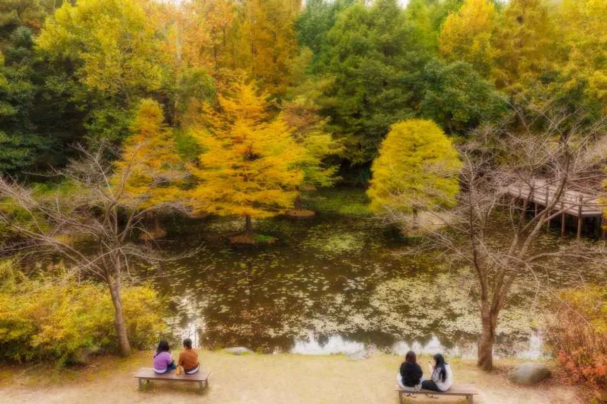 달빛호수공원 - 오산여행 여행