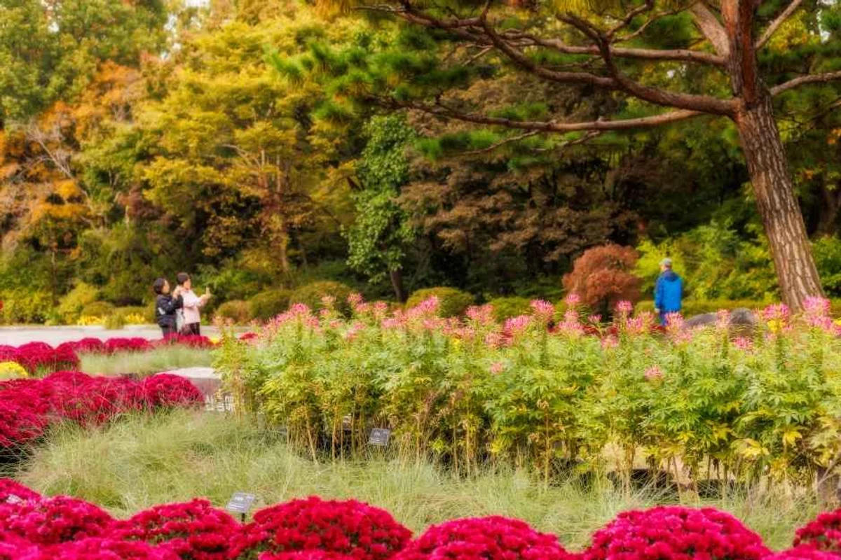 물향기수목원 - 오산여행 여행