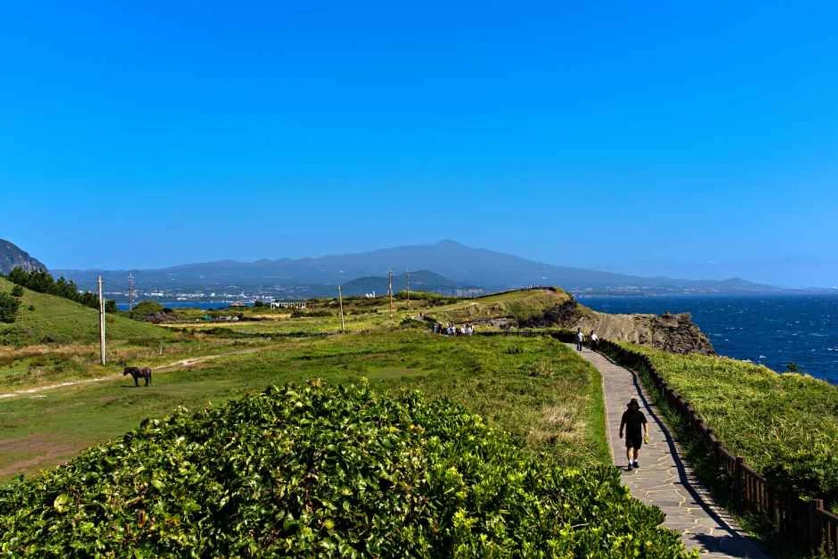 한라산 한옥스테이 (출처 : 한국관광공사)