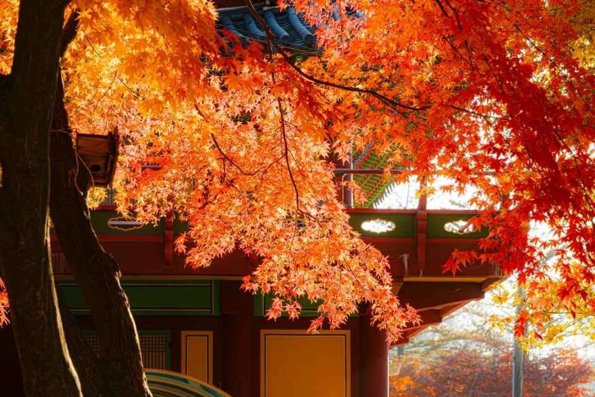 글램핑코리아 애견캠핑장 - 양주시 반려견 동반 여행
