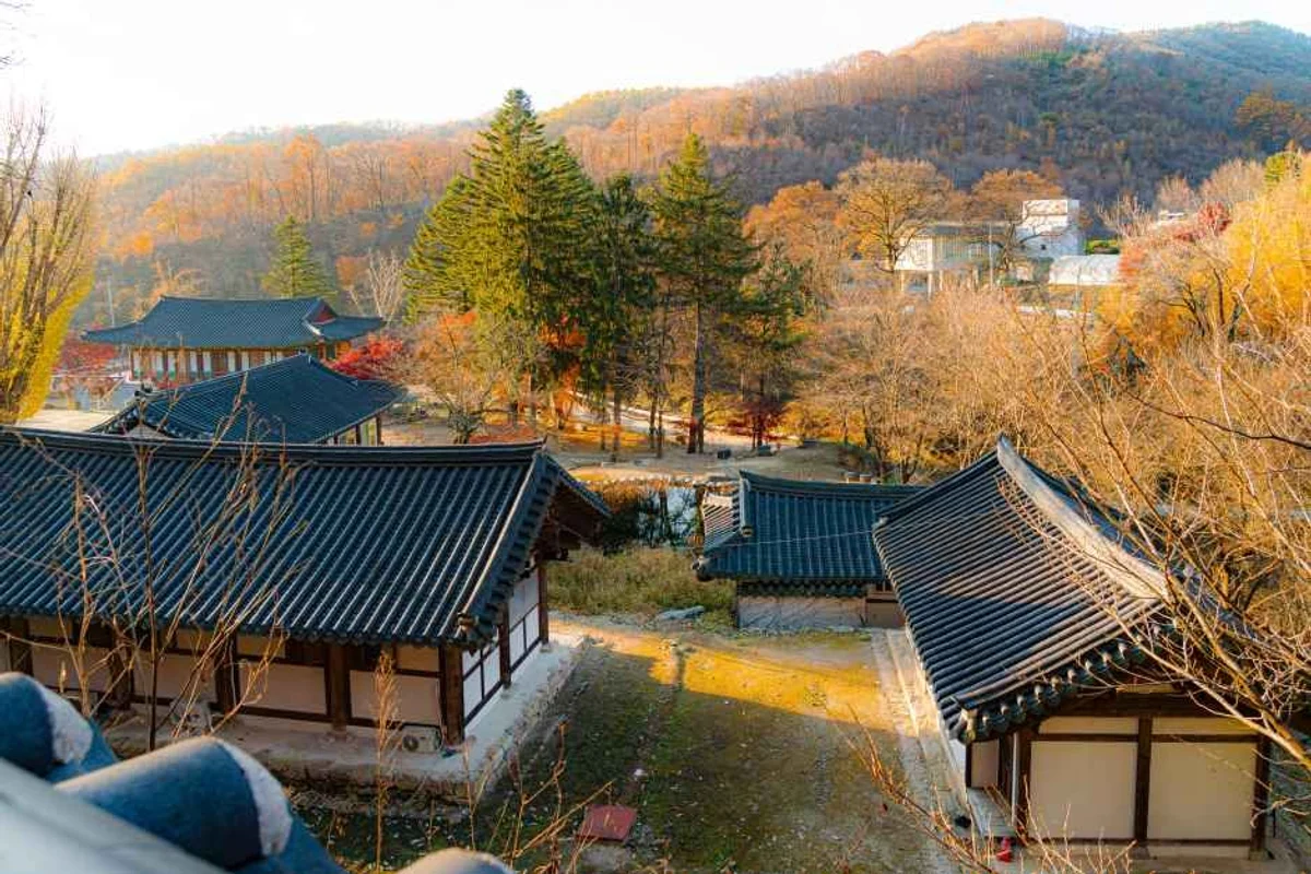 두리랜드 - 양주가볼만한곳 여행