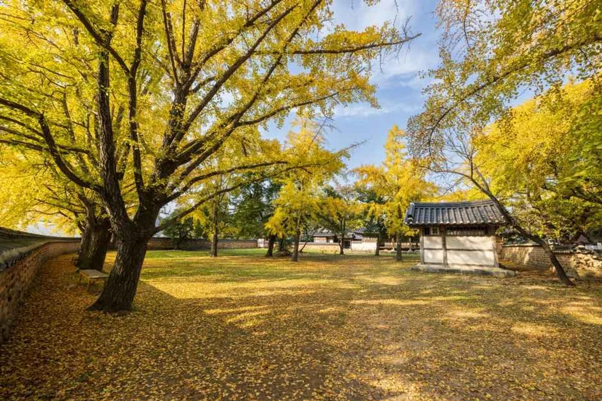 죽도 상화원 - 보령여행 여행