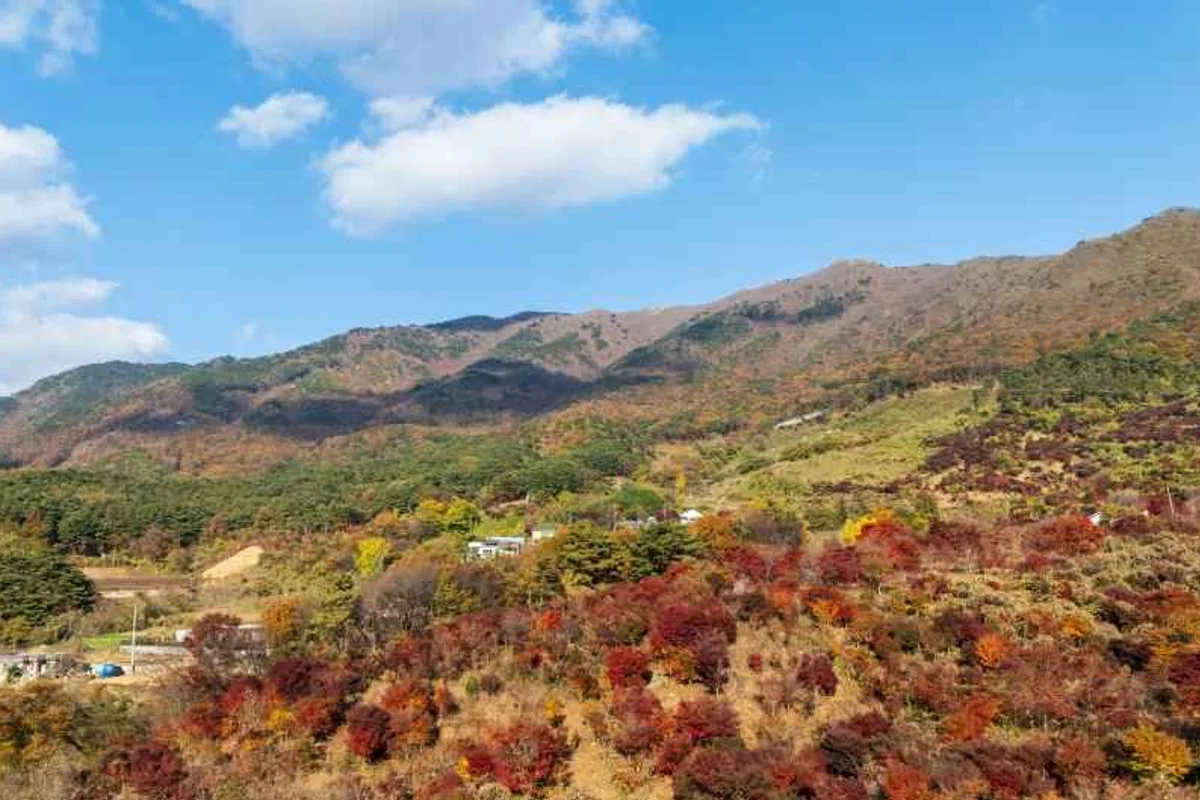 남포방조제드라이브코스 - 보령여행 여행