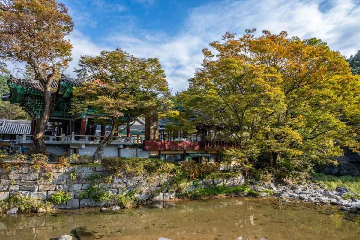 함평엑스포공원 - 함평여행 여행